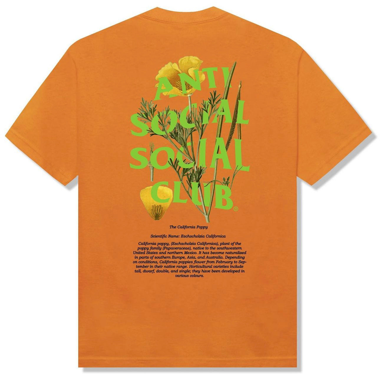 ASSC Poppy Tee